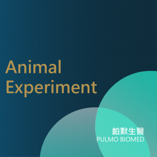 最新資料_動物實驗_.png 最新資料_動物實驗_.png